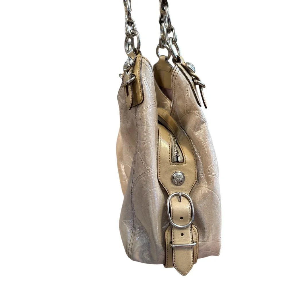 Coach art hobo